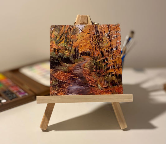 Kilrush woods, on a beautiful autumn day