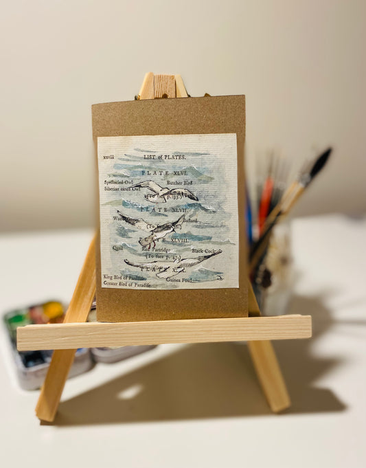 Seagulls in flight handmade watercolour card